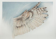 Silent Wing, Great Horned Owl
