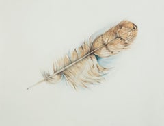 Single Feather