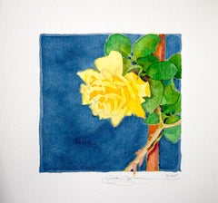"Yellow Rose Study No. 3", acquerello su carta, incorniciato in legno chiaro