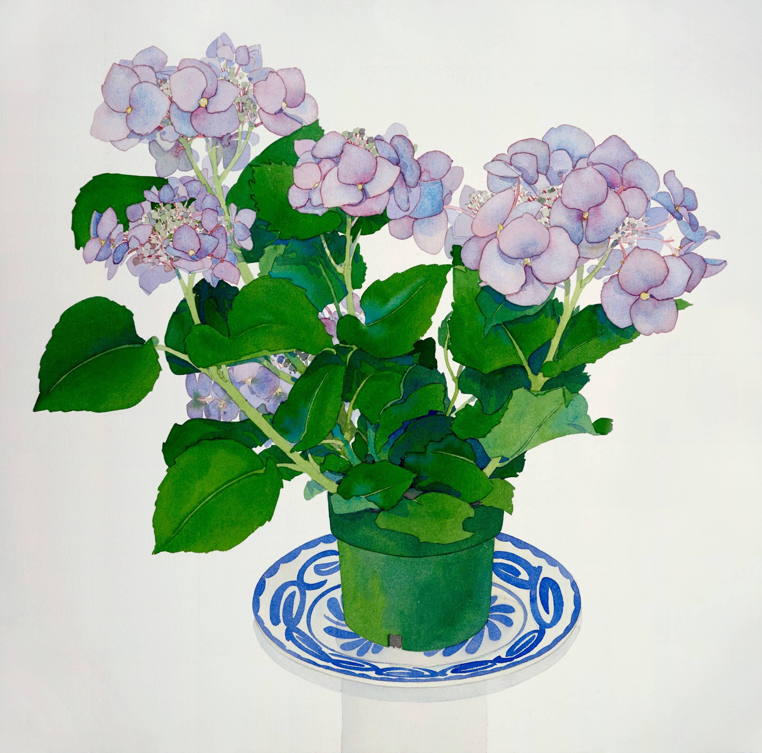 Gary Bukovnik Still-Life - Lavender Hydrangea / watercolor