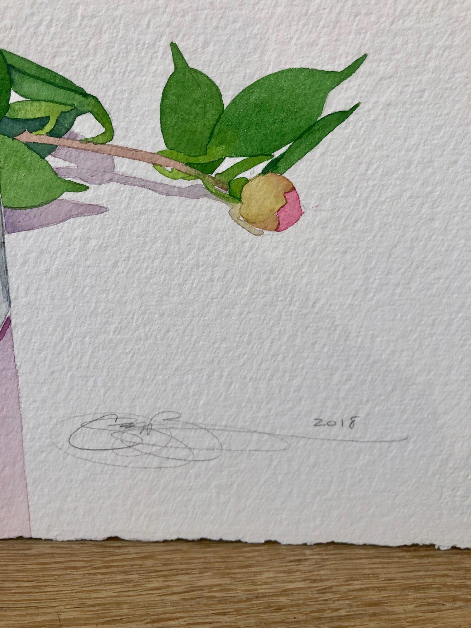 Healdsburg Camelias / watercolor - Art by Gary Bukovnik