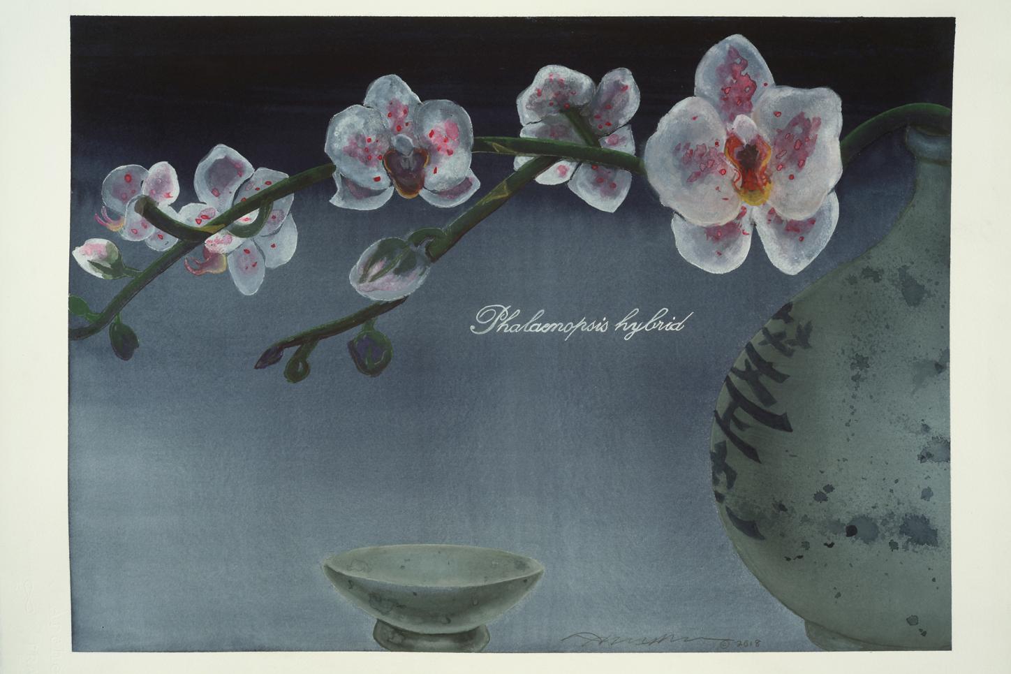 Adrienne Sherman Still-Life – Nocturne for Flowers / botanisches Aquarell