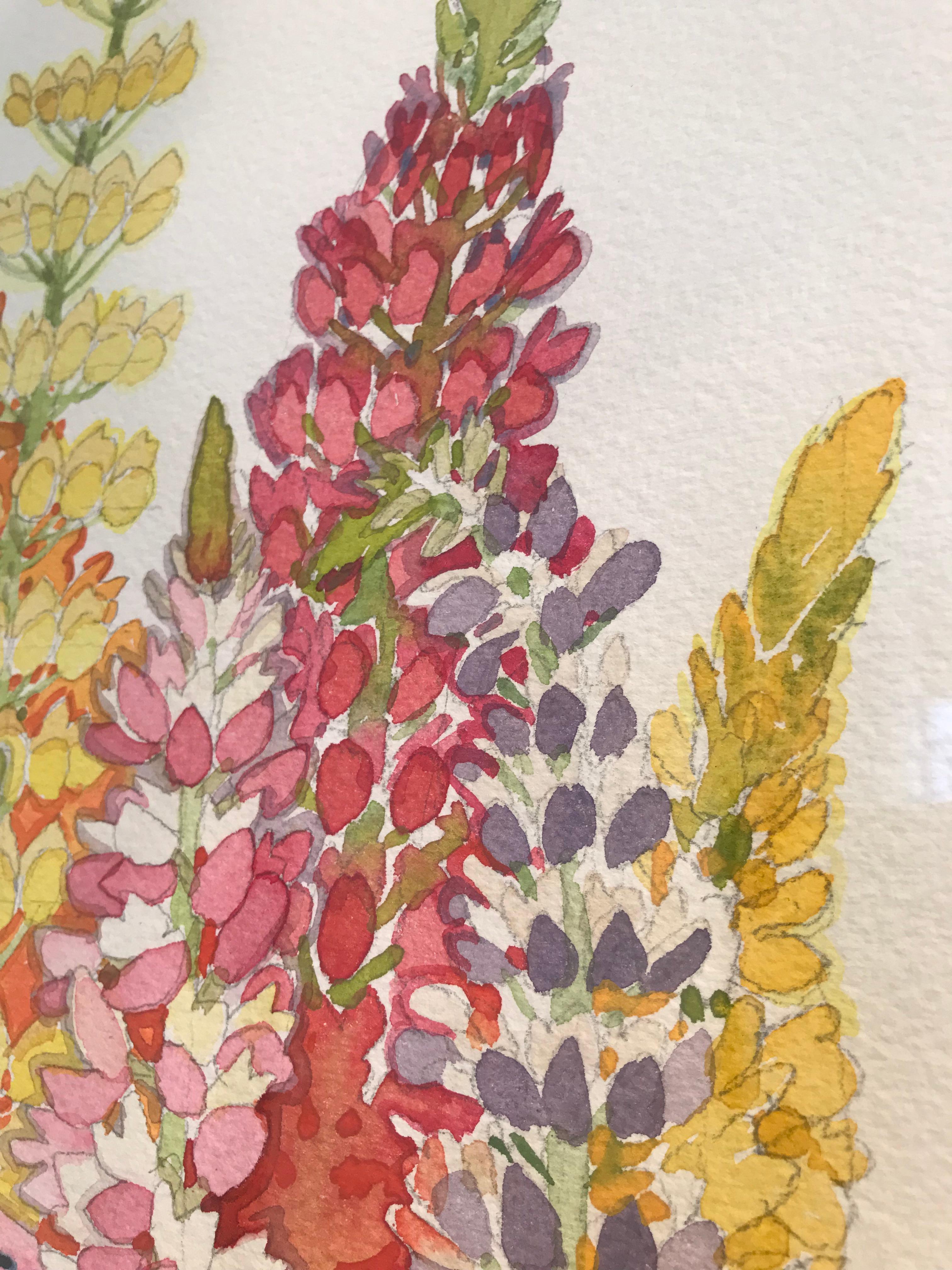 lupine watercolor