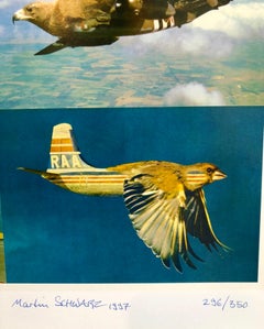 Vogelflieger, Surrealist Digital Bird Airplane Collage Lithograph Photo Print