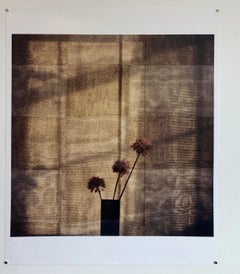 Checkered Alliums, Large Format Photo 24X20 Color Photograph Beach House RI