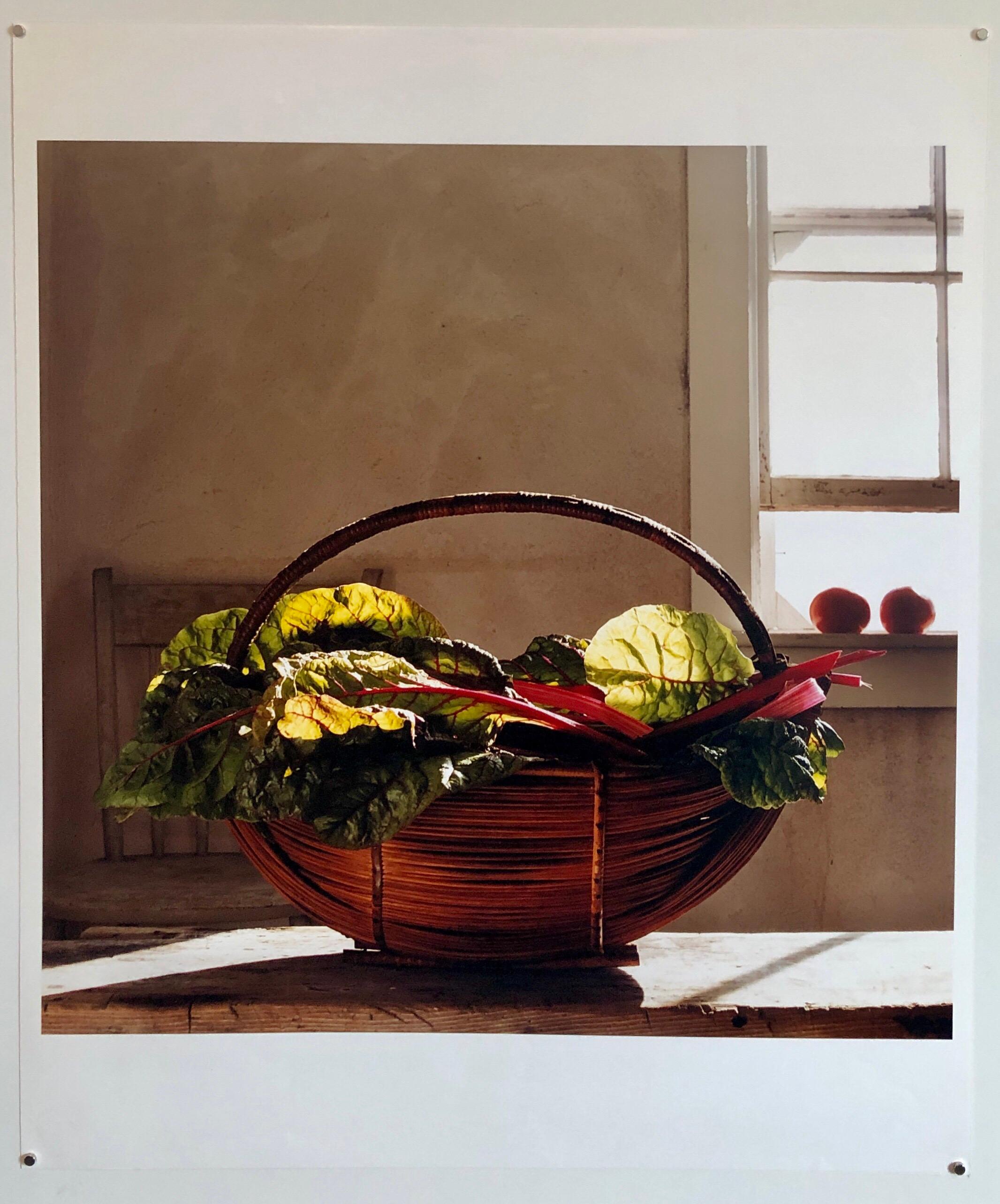 Swiss Chard, Charlotte, The Tappen House, Little Compton, RI (Rhode Island). Hand signed and numbered. small edition of 15
Moody photos of a summer vacation house at the beach.  

Peter C. Jones is a fine art photographer, documentary film director,
