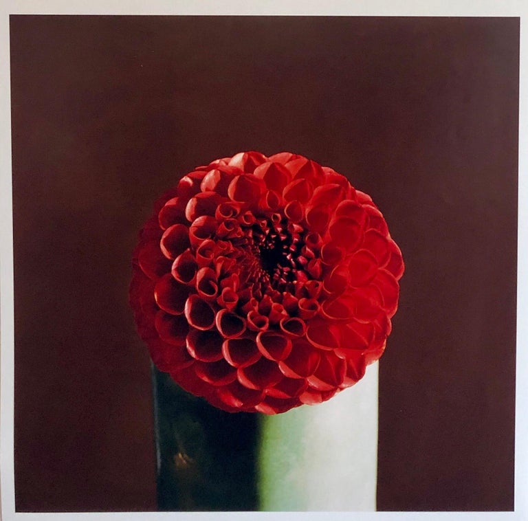 Red Dahlia, Flower, Floral Photo The Tappen House, Little Compton, RI (Rhode Island). Hand signed and numbered. small edition of 15 (these are on Kodak professional paper not Polaroid 20X24)
Moody photos of a summer vacation house at the beach. 