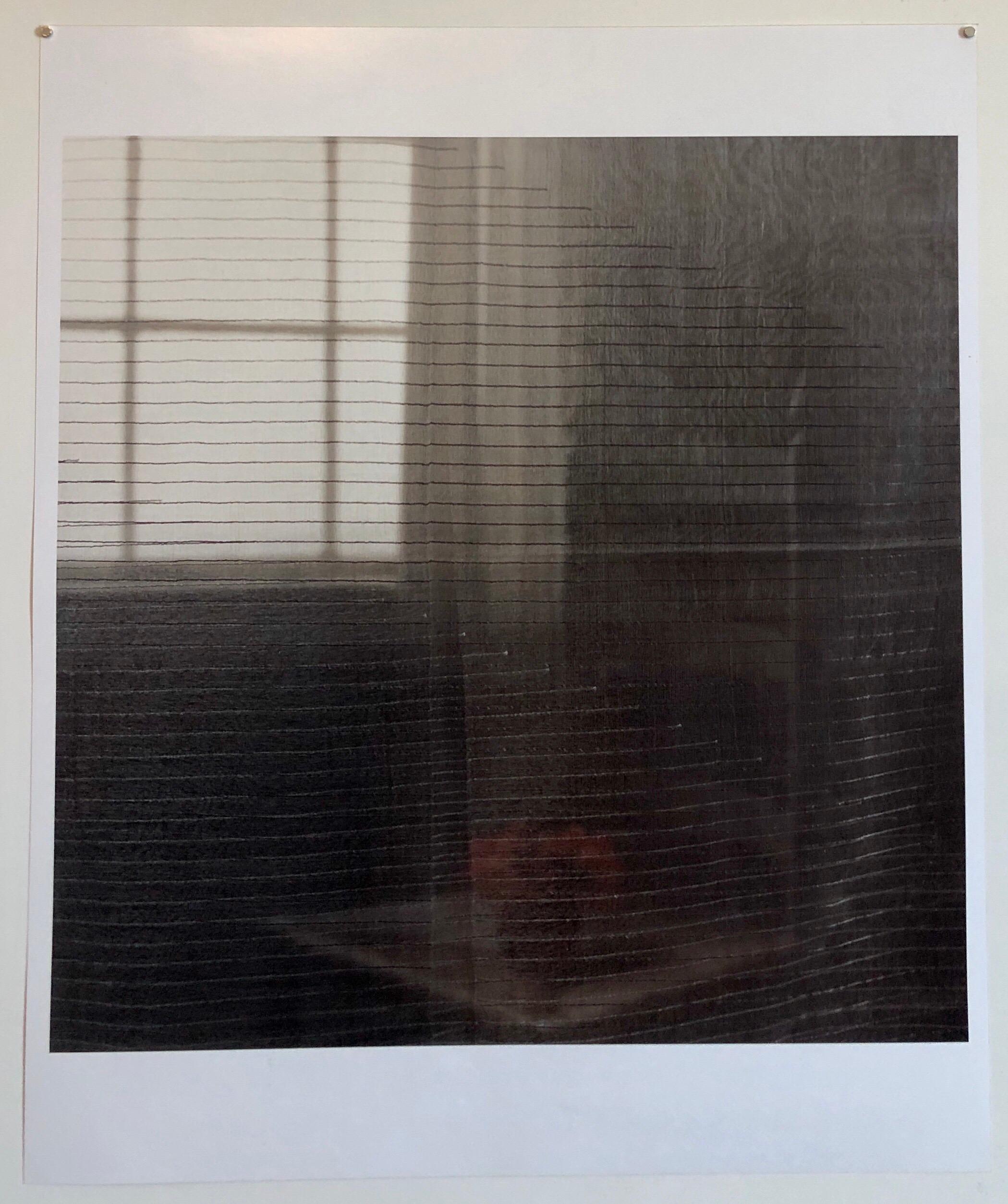 Gray Afternoon, Large Format Flower Photo 24X20 Color Photograph Beach House 5