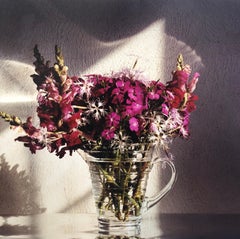 Sweet Williams, Large Format Flowers Photo 24X20 Color Photograph Beach House