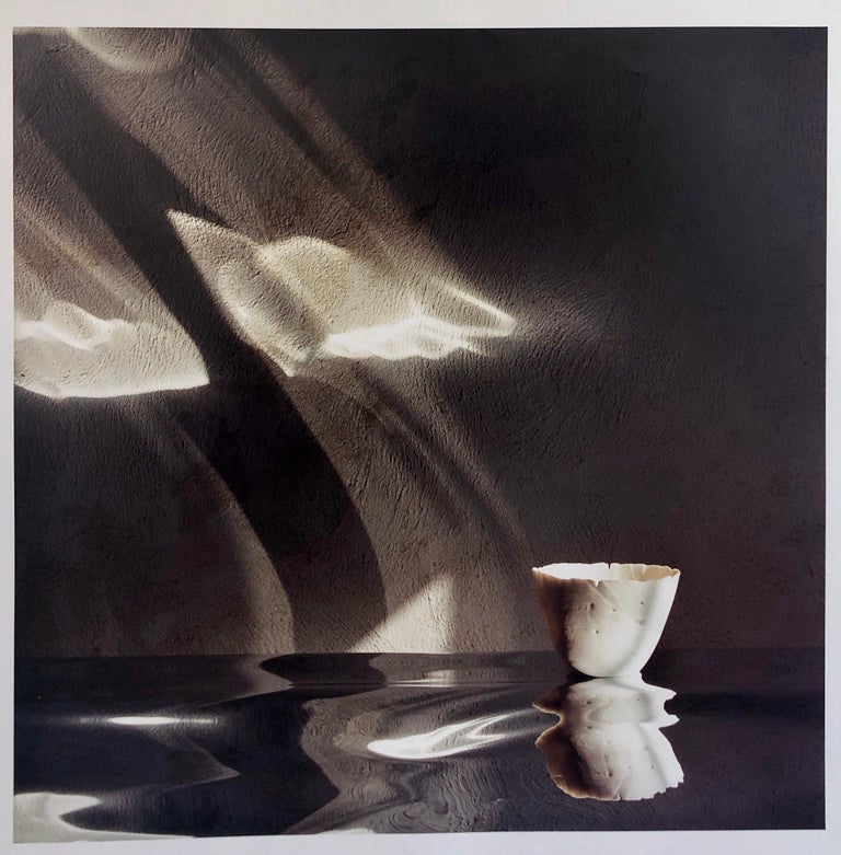 Snipes Vessel, Ceramic vase Photo, The Tappen House, Little Compton, RI (Rhode Island). Hand signed and numbered. small edition of 15, This one is marked proof. (these are on Kodak professional paper not Polaroid 20X24)
Moody photos of a summer