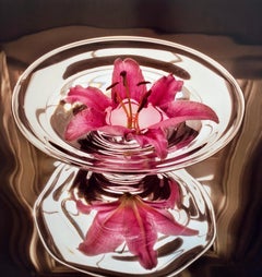 Floating Lily, Large Format Photo 24X20 Color Photograph Beach House