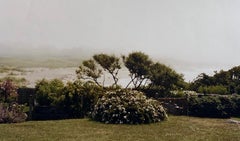 Wild Roses, Large Format Photo 24X20 Color Photograph Beach House