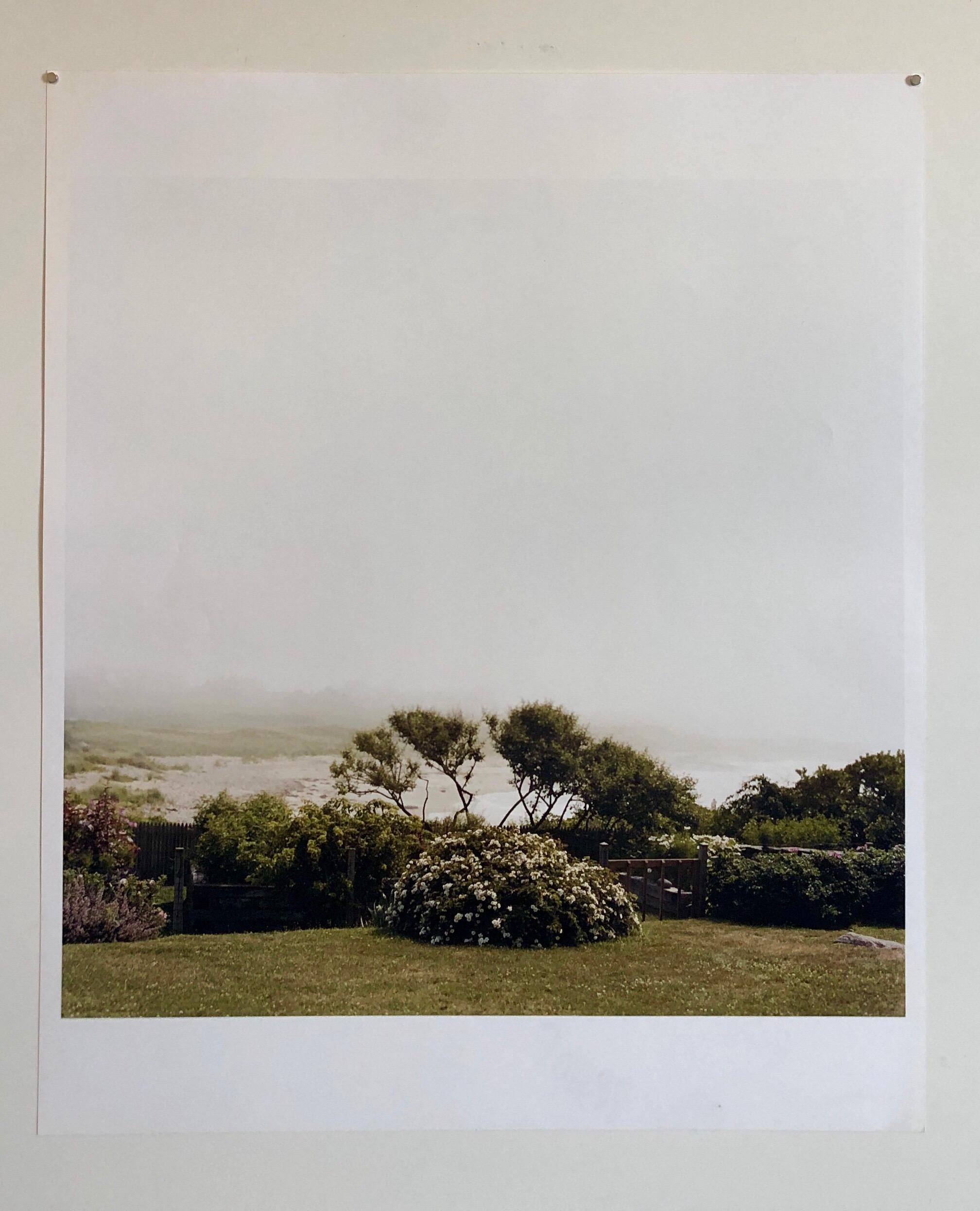 Wild Roses , Photo, The Tappen House, Little Compton, RI (Rhode Island). Hand signed and numbered. small edition of 15, This one is marked proof. (these are on Kodak professional paper not Polaroid 20X24)
Moody photos of a summer vacation house at