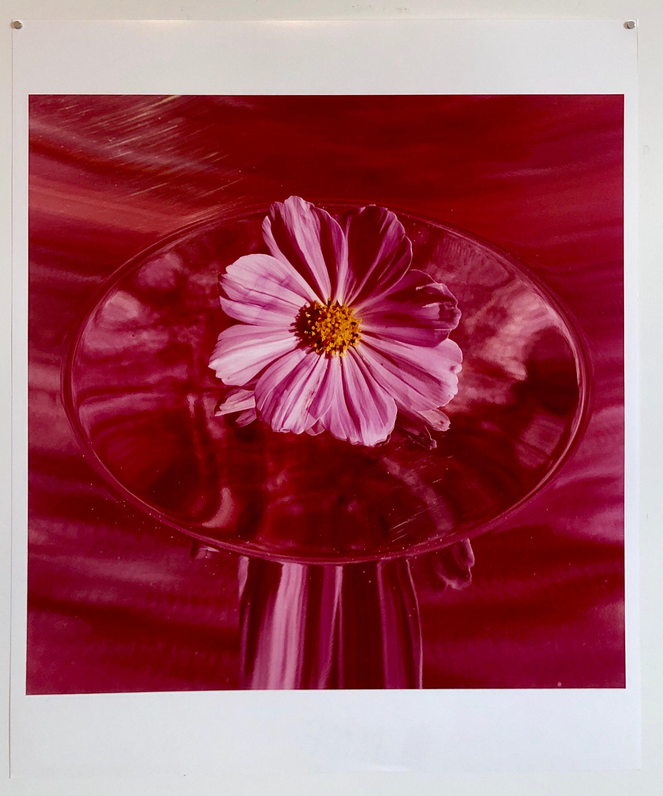 Pink Cosmo, Photo, The Tappen House, Little Compton, RI (Rhode Island). Hand signed and numbered. small edition of 15, This one is marked proof. (these are on Kodak professional paper not Polaroid 20X24)
Moody photos of a summer vacation house at