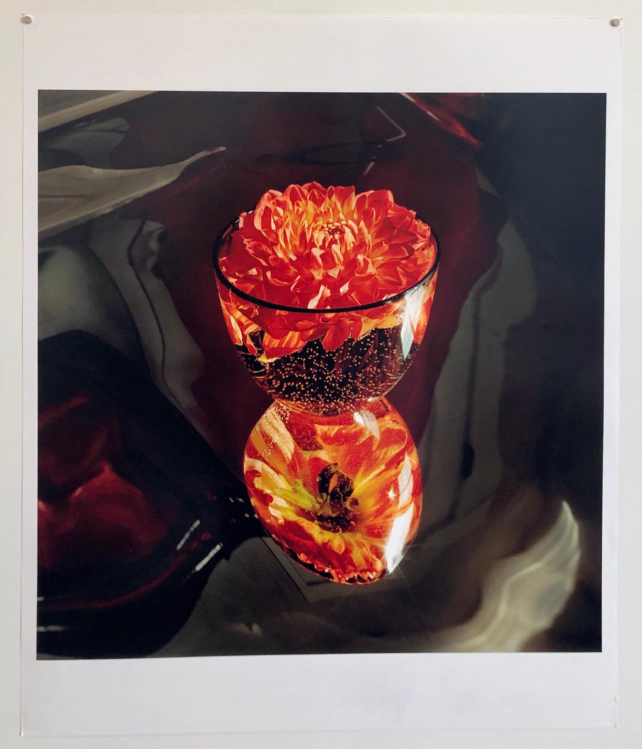 Floating, Flowers, Large Format Photo 24X20 Color Photograph Beach House - Black Still-Life Photograph by Peter C. Jones 