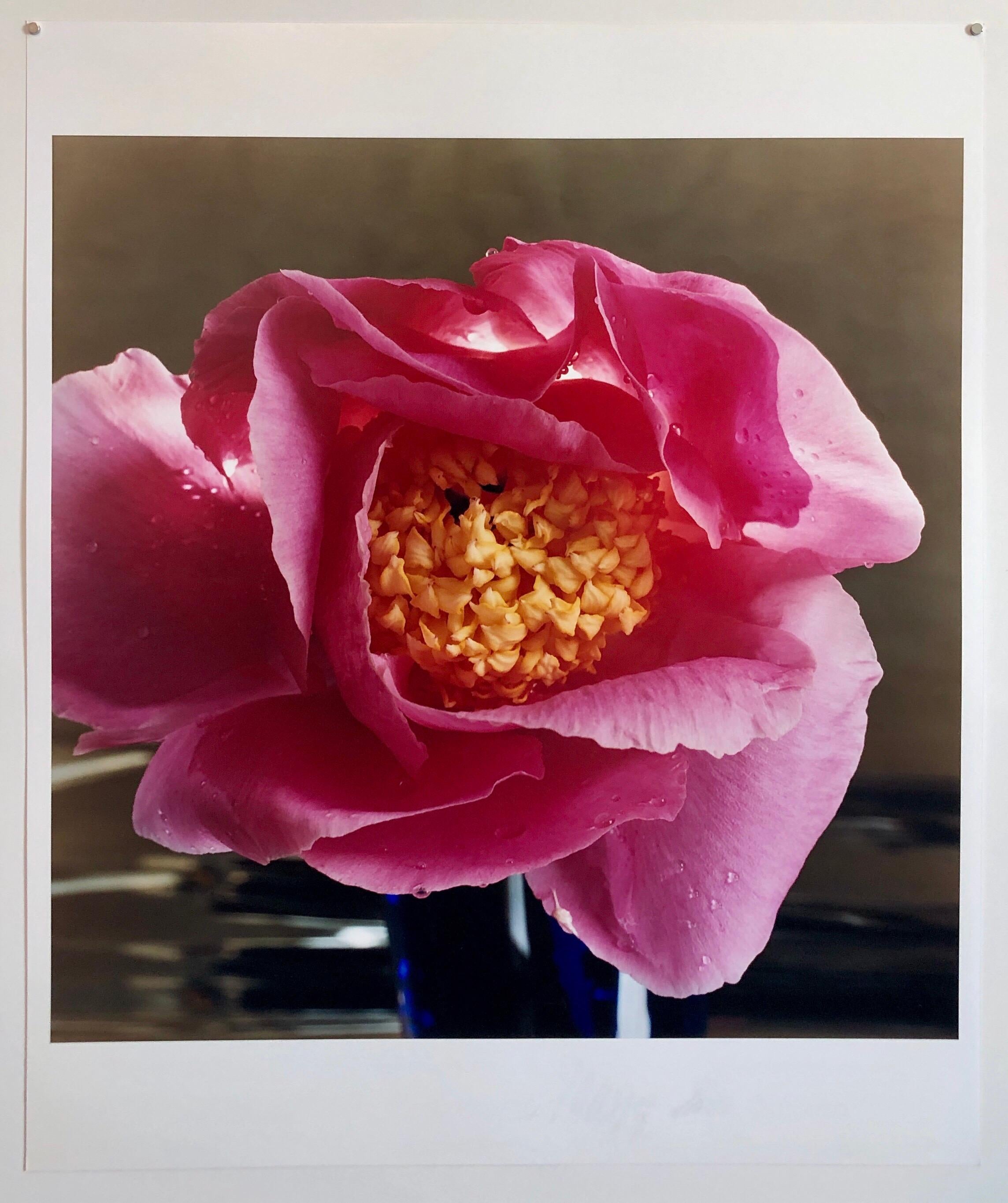 A Bientot, Large Format Flower Photo 24X20 Color Photograph Beach House 4