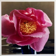 A Bientot, Large Format Flower Photo 24X20 Color Photograph Beach House