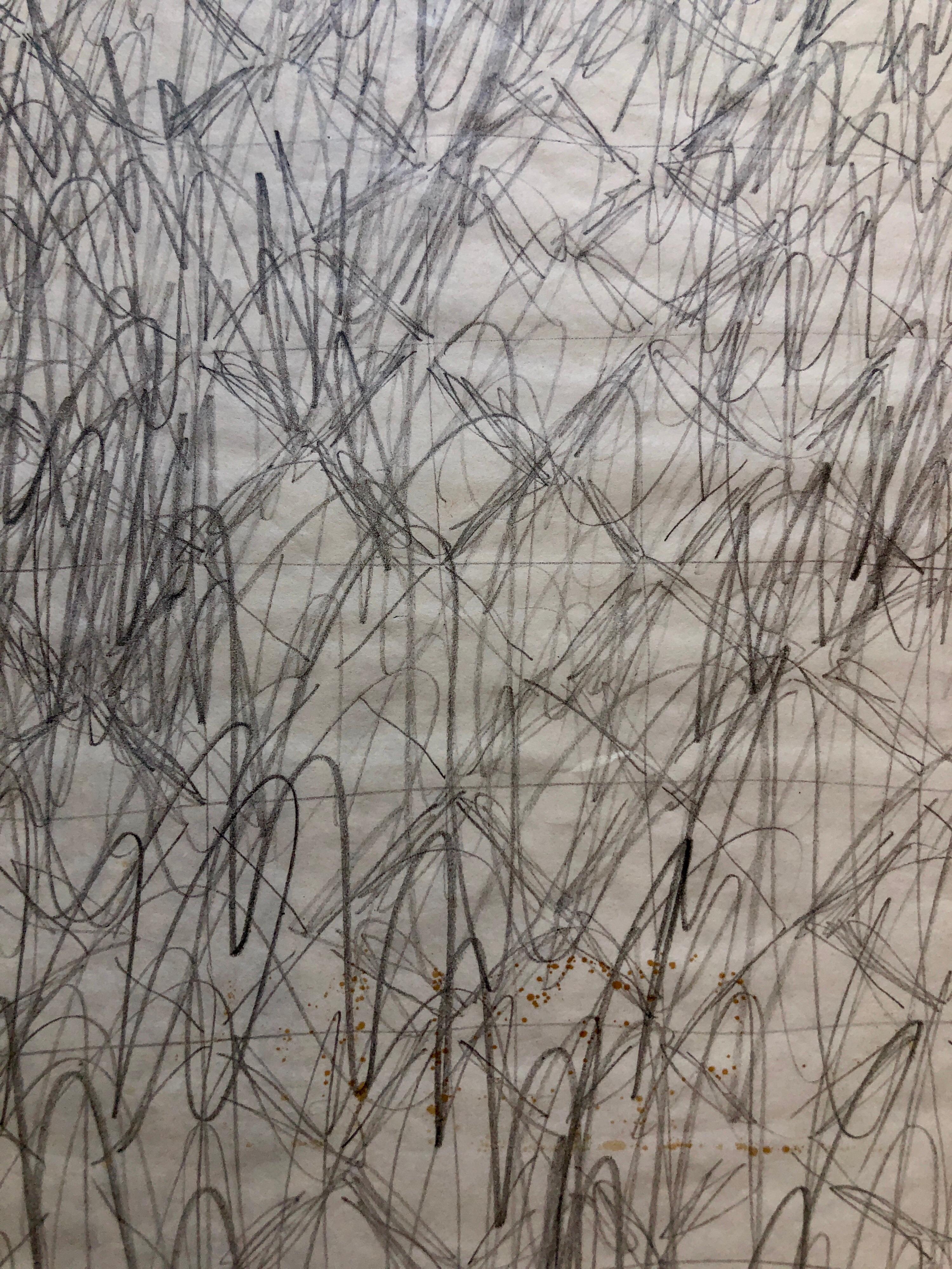 Abstract Expressionist Pencil Drawing Katherine Porter 1