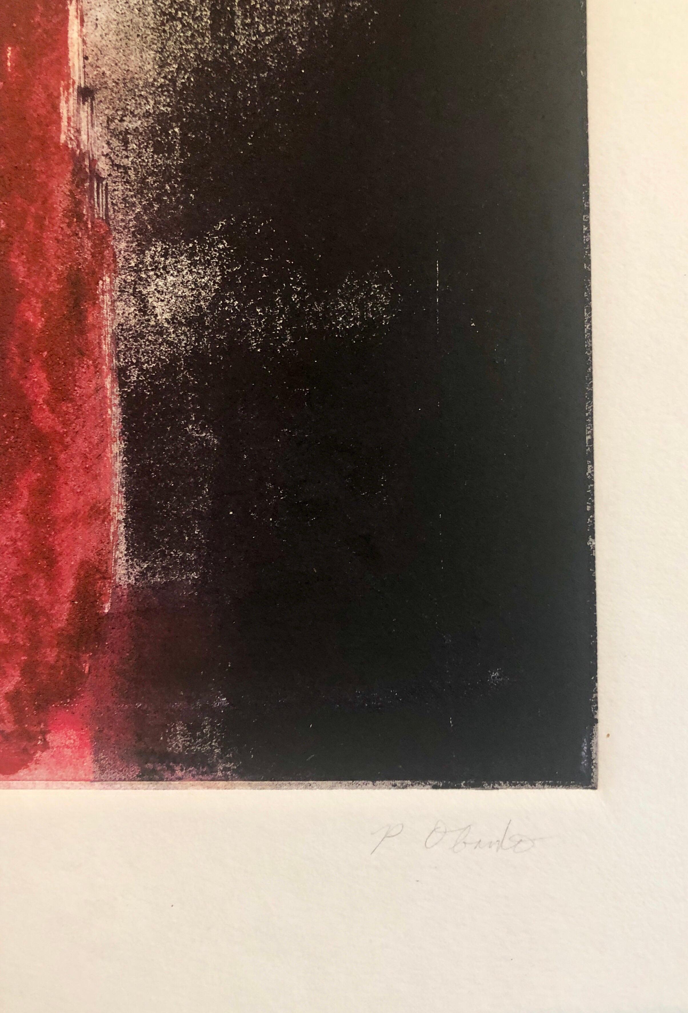 Pierre Andre Obando creates process oriented abstract paintings. He was born in Belize City, Belize and grew up in the Caribbean, the U.S. Virgin Islands, Miami, Fl and Jackson, MS.

Pierre Obando completed his MFA at Hunter College and completed