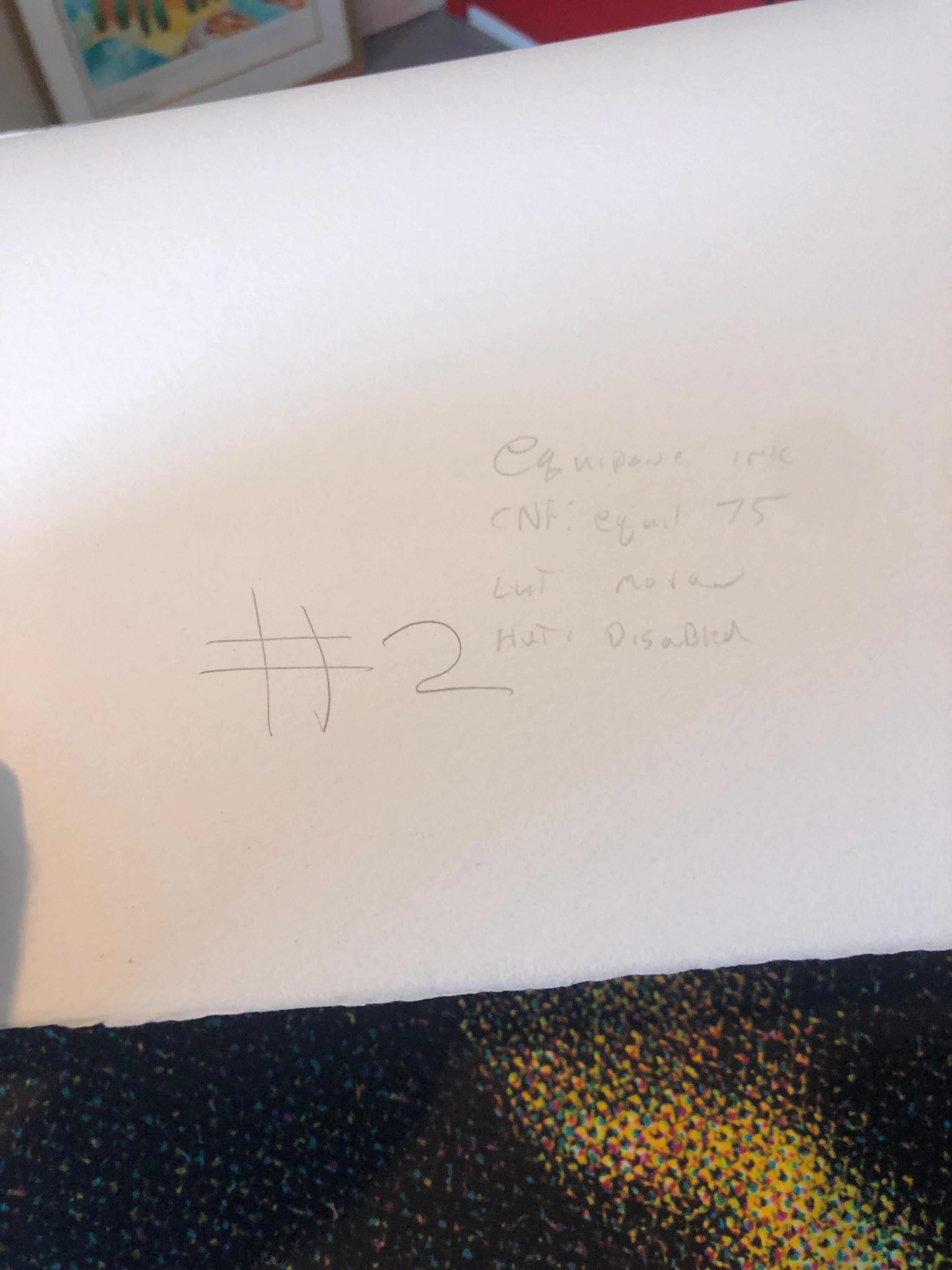 SOME PEOPLE OF KUWAIT, 2000, tirage couleur à l'iris, sur papier photo chiffon épais, signé au verso et portant l'inscription 'OK to print', d'une petite édition de seulement 10 exemplaires. 
 images 40 x 26 ¾
