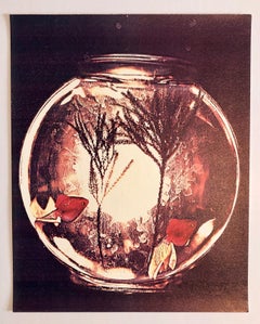 Seasons 1981 Photo Color Copier Print Photograph Museum Collected Art Xerography