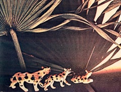 Seasons 1981 Photo Color Copier Print Photograph Museum Collected Art Xerography