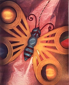 Seasons 1981 Photo Color Copier Print Photograph Museum Collected Art Xerography