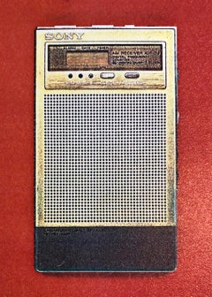 Seasons 1981 Photo Color Copier Print Photograph Museum Collected Art Xerography