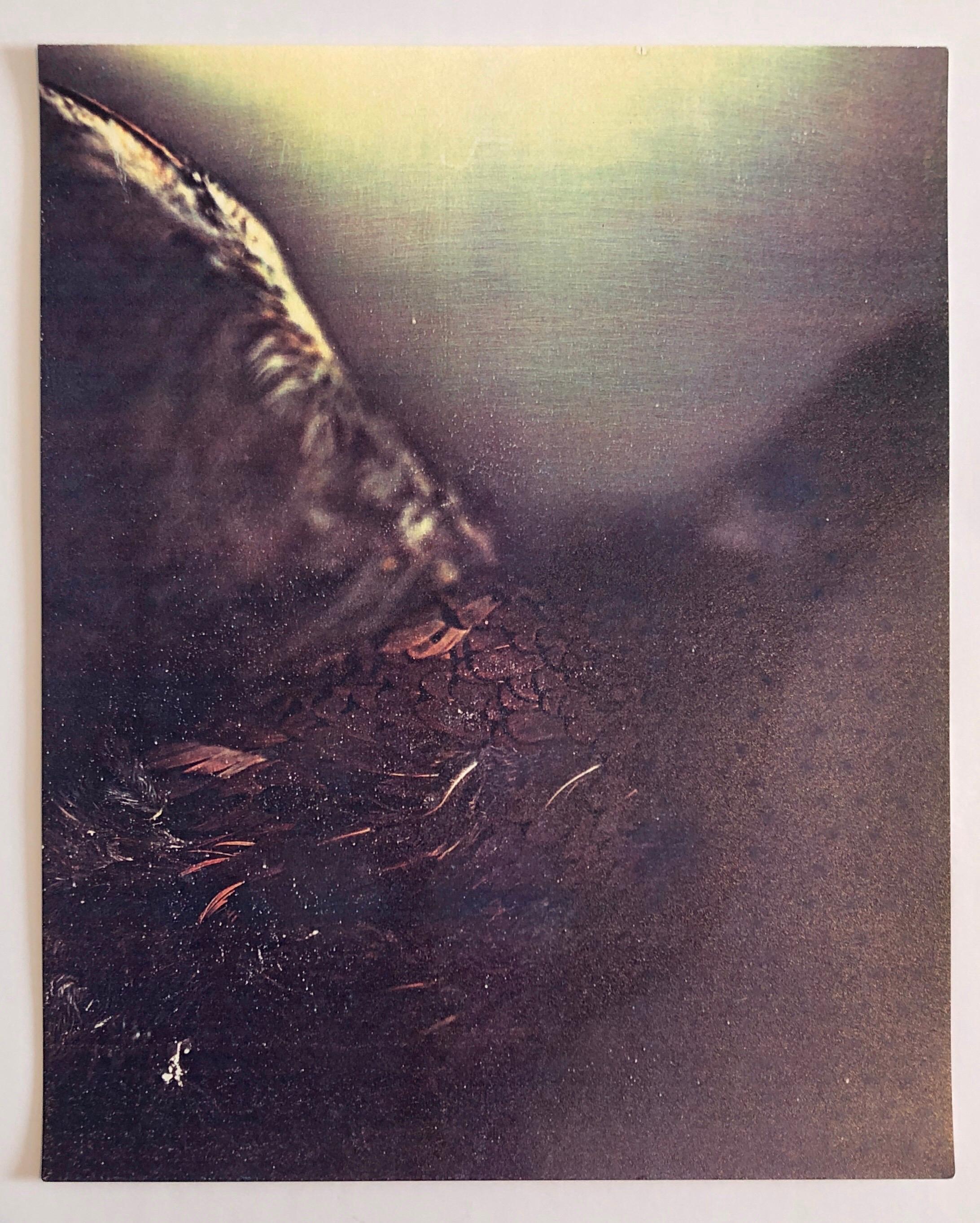 Photographie couleur Copier Print Museum Collected Art Xerography Seasons 1981 en vente 2
