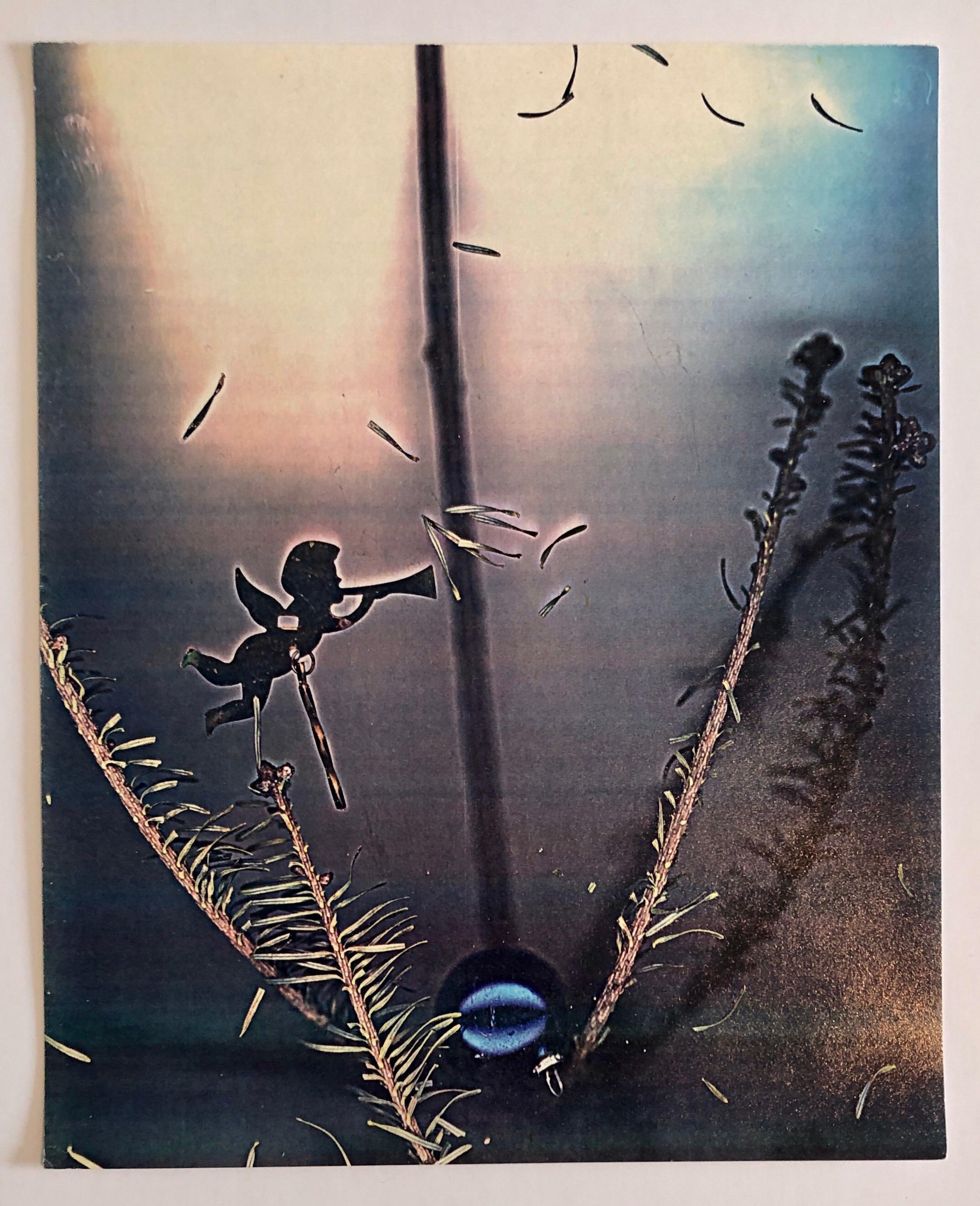 Photo Color Copier Print Photographie de collection Musée d'art Xerographie « Seasons 1981 » en vente 1