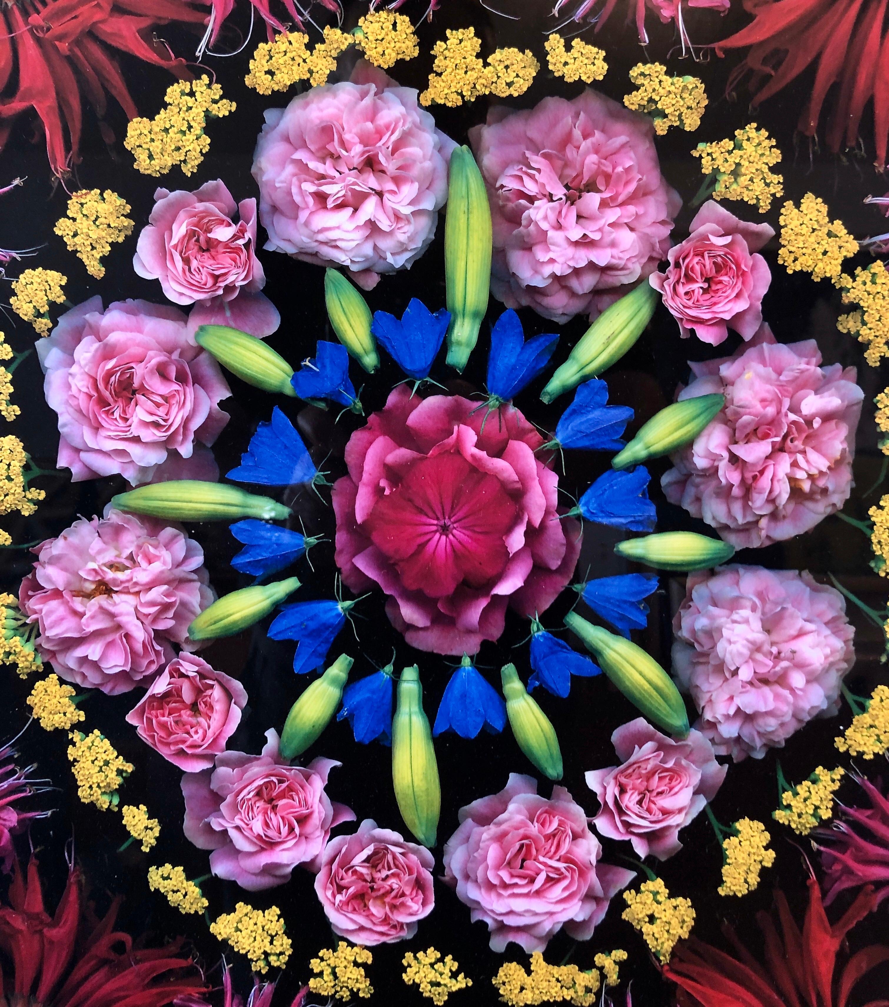 Fleur Mandala - Photo baroque - Art féministe contemporain - Impression numérique de photographie - Noir Still-Life Print par Portia Munson