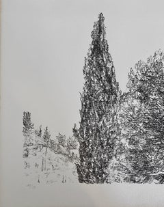 Avigdor Arikha Modernist Israeli Lithograph Jerusalem Landscape Bezalel School