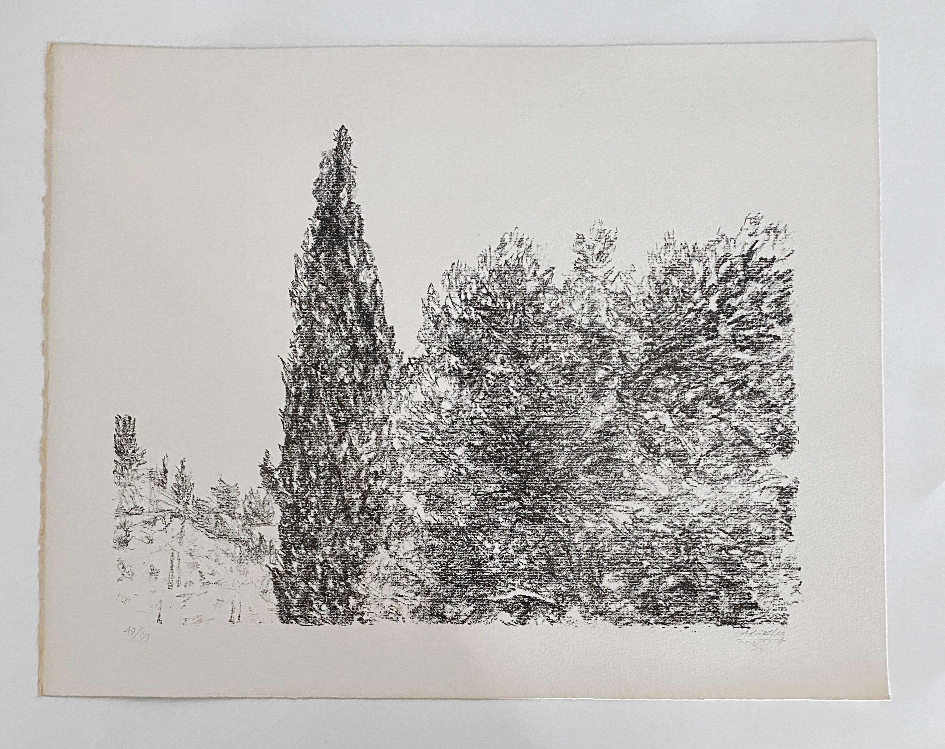 Avigdor Arikha Modernist Israeli Lithograph Jerusalem Landscape Bezalel School For Sale 2