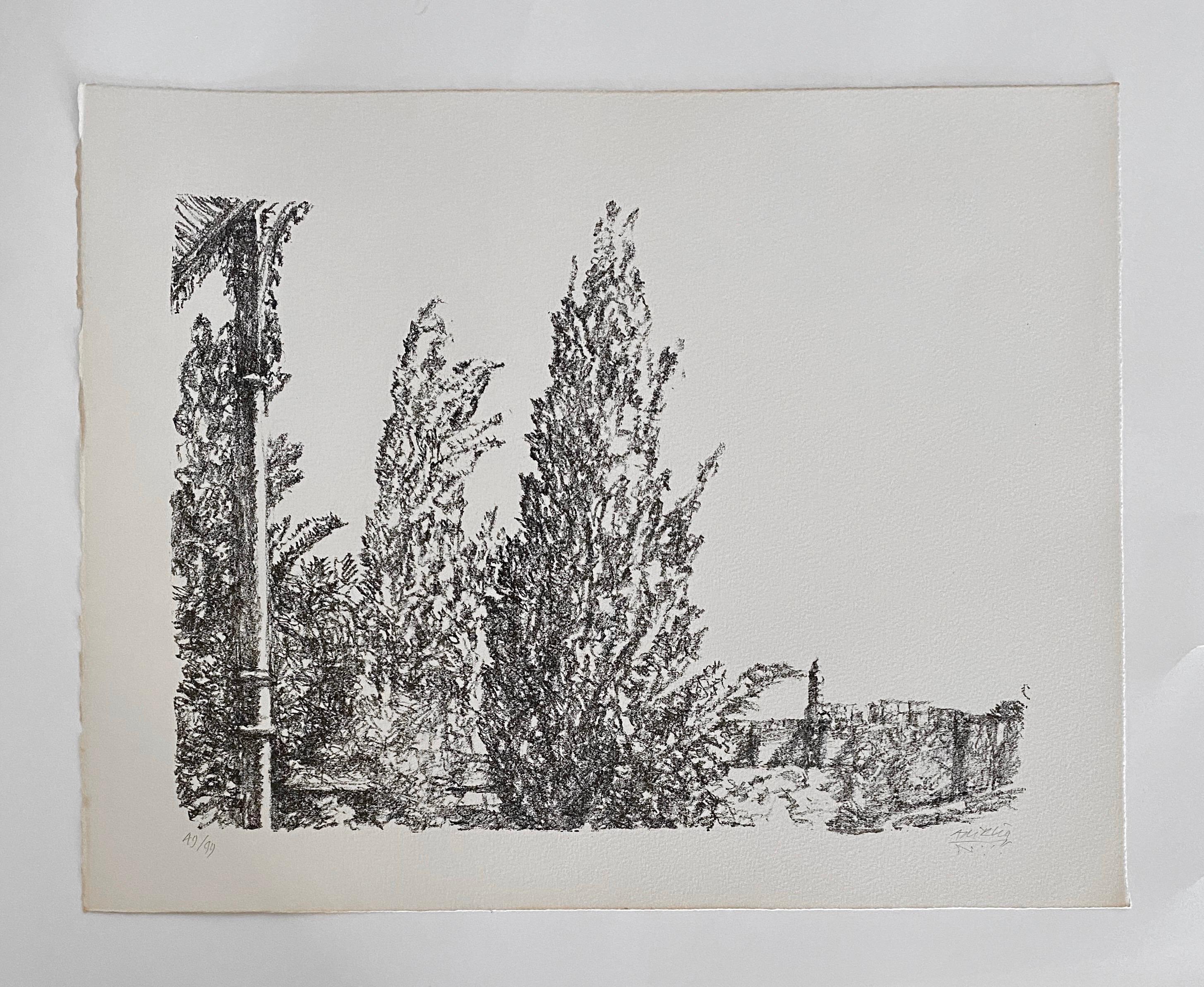 Avigdor Arikha Modernist Israeli Lithograph Jerusalem Landscape Bezalel School For Sale 4