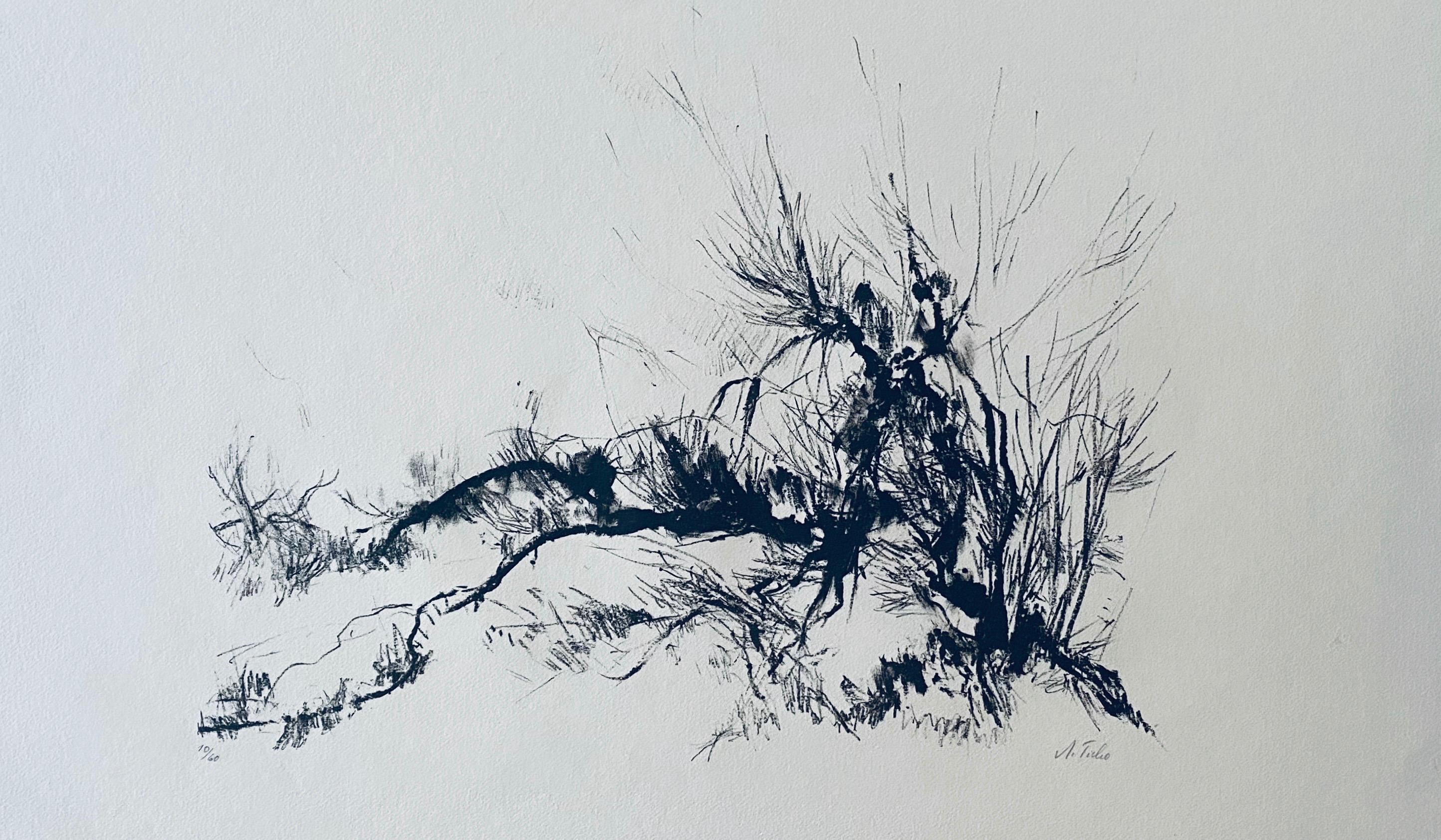 German Israeli Expressionist Abstract Bush in Judea Lithograph - Print by Anna Ticho