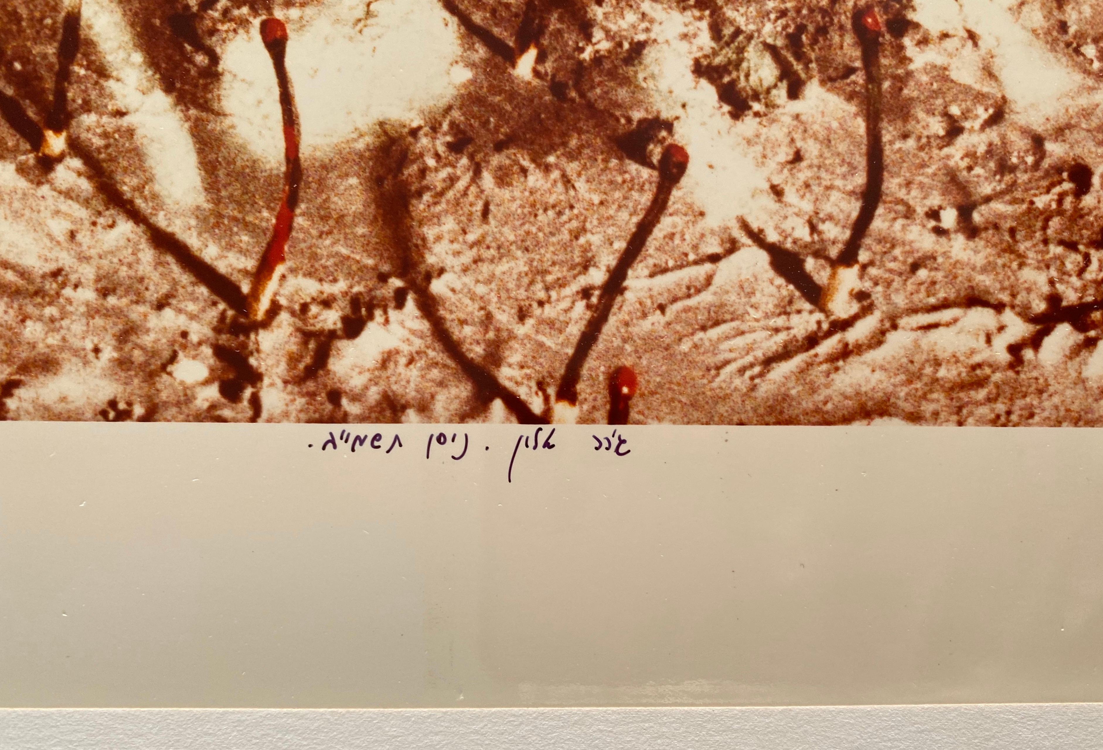 SLAVES WE WERE, 1982, color photograph, signed and dated and titled in ink, numbered 3/50, sheet 12 x 16”. Hand signed, titled and has the edition number on the recto.
Gerard Allon, photographer, born 1949, Casablanca, Morocco. Immigrated to Israel
