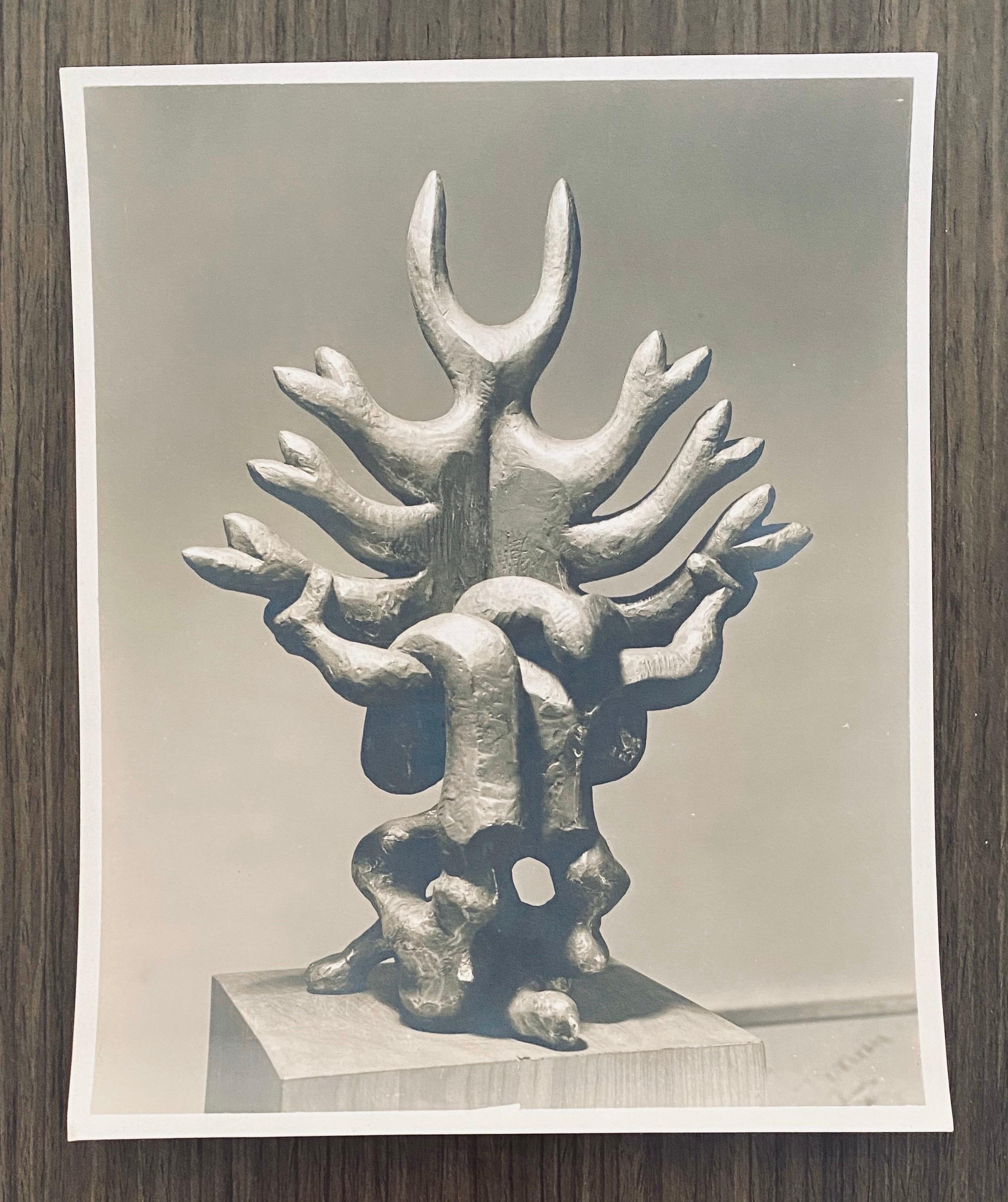 Vintage Silver Gelatin Photograph Jacques Lipchitz Bronze Sculpture Photo Signed 3