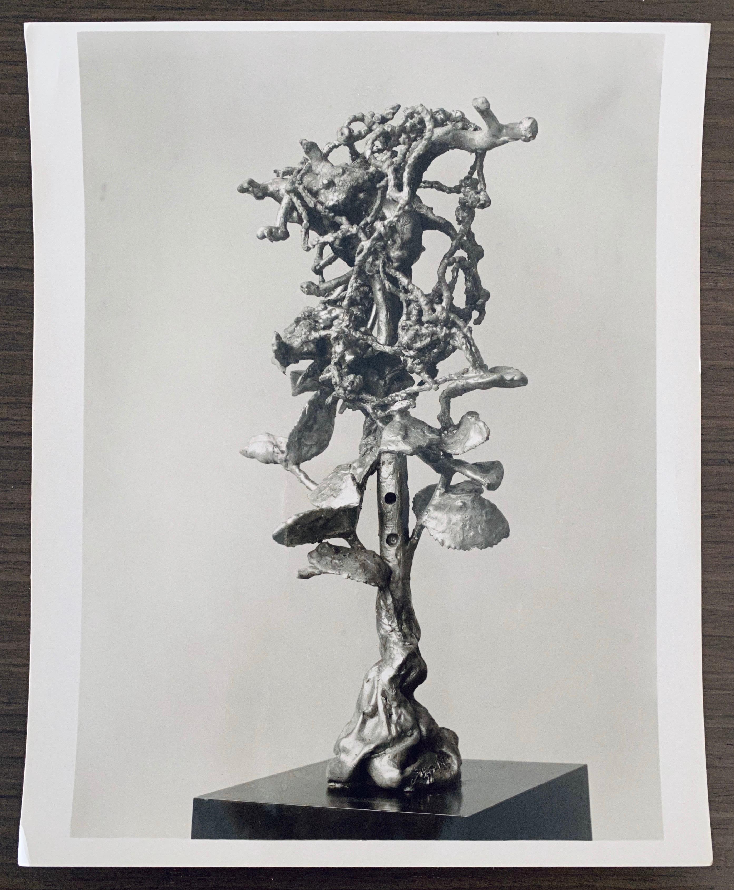 Vintage Silber Gelatinesilber Fotografie Jacques Lipchitz Bronze Skulptur Foto signiert (Moderne), Photograph, von Adolph Studly