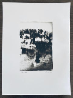 French Contemporary Collotype Photograph Black White Photo Andre Naggar