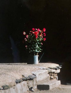 Vintage Photograph Cibachrome Jokang Rooftop Tibet Jokhang Color Photo Print