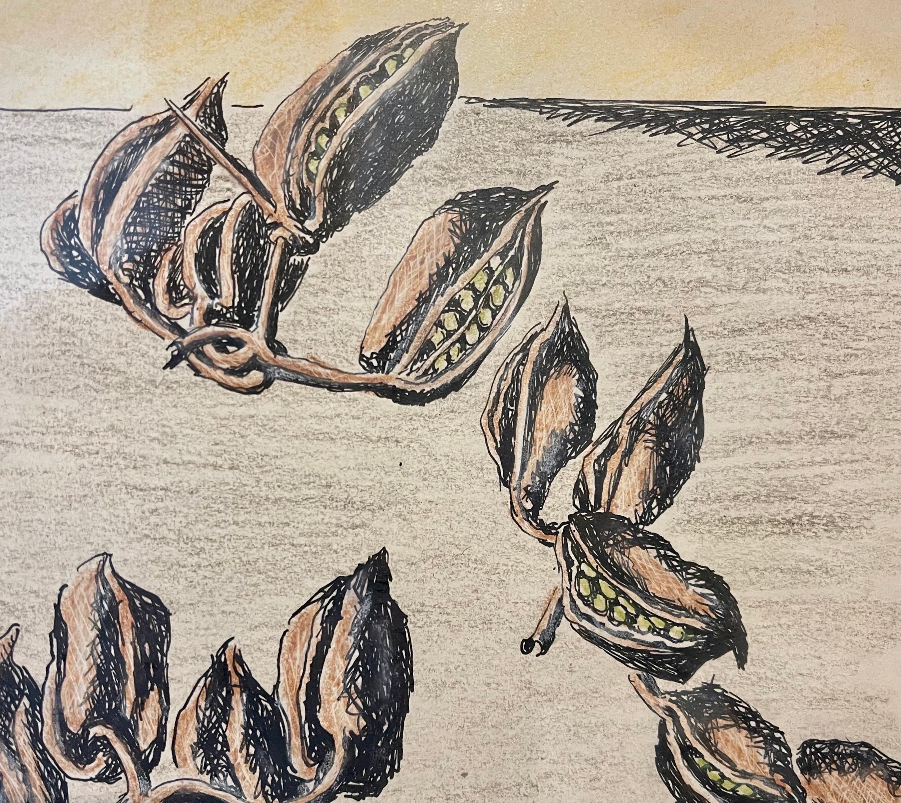 Expressionist ink and pastel crayon drawing of beans (carobs, flowers?) in pods
Hand signed.


Born in 1897, Ben-Zion Weinman celebrated his European Jewish heritage in his visual works as a sculptor, painter, and printmaker. Influenced by Spinoza,