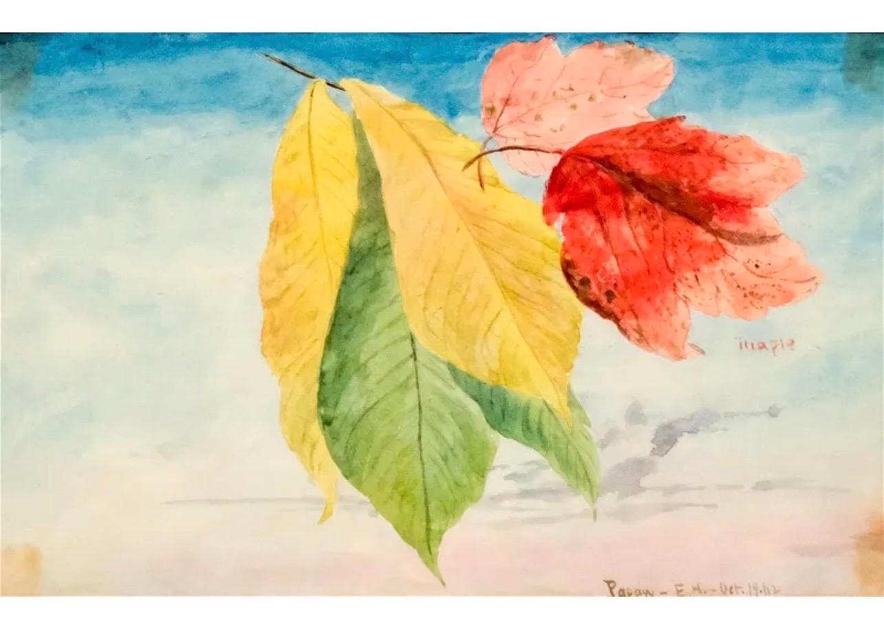 Maple Leaves Watercolor Painting 19th C. American Artist Charles DeWolf Brownell For Sale 1