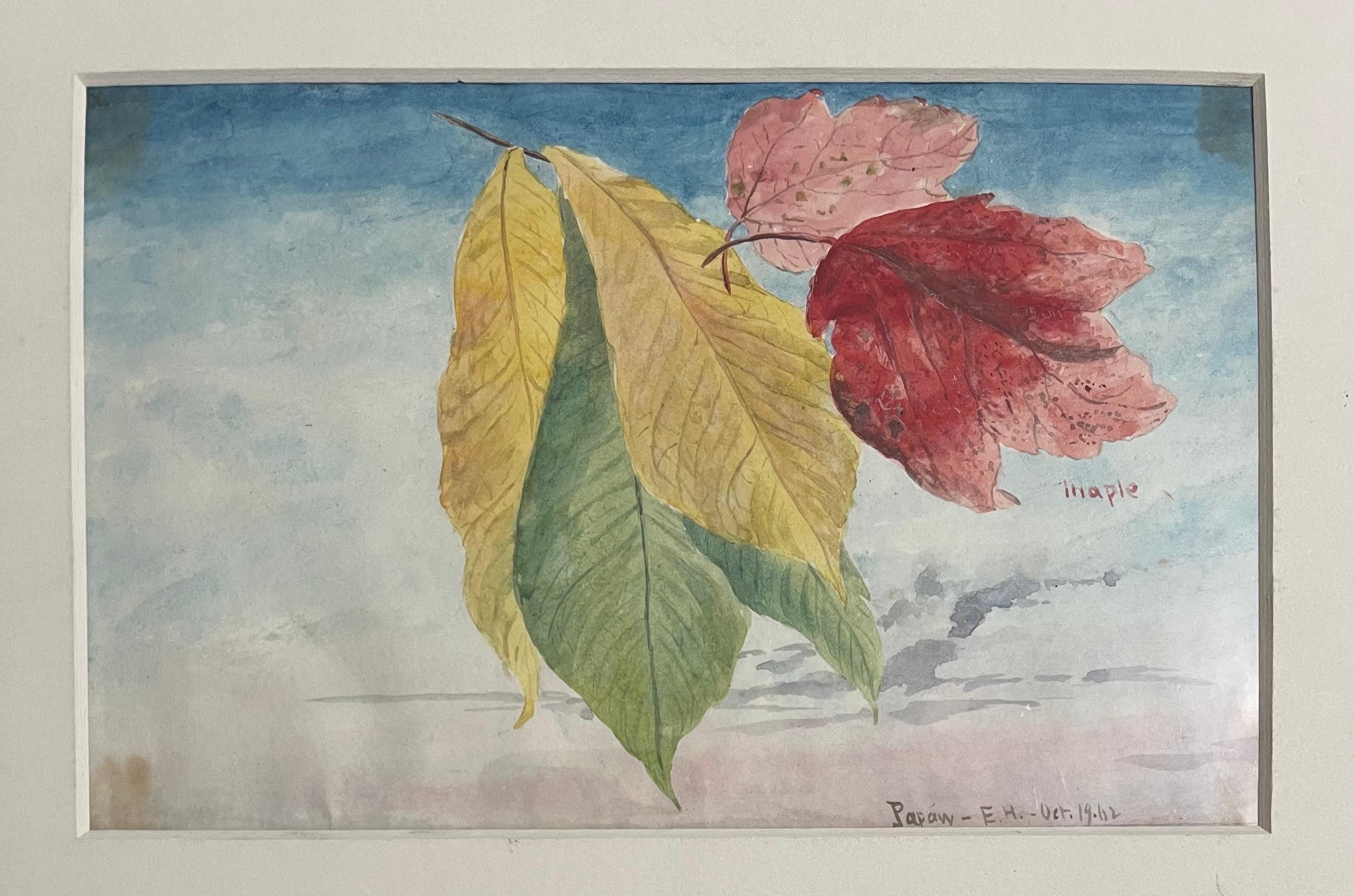 Maple Leaves Watercolor Painting 19th C. American Artist Charles DeWolf Brownell For Sale 5