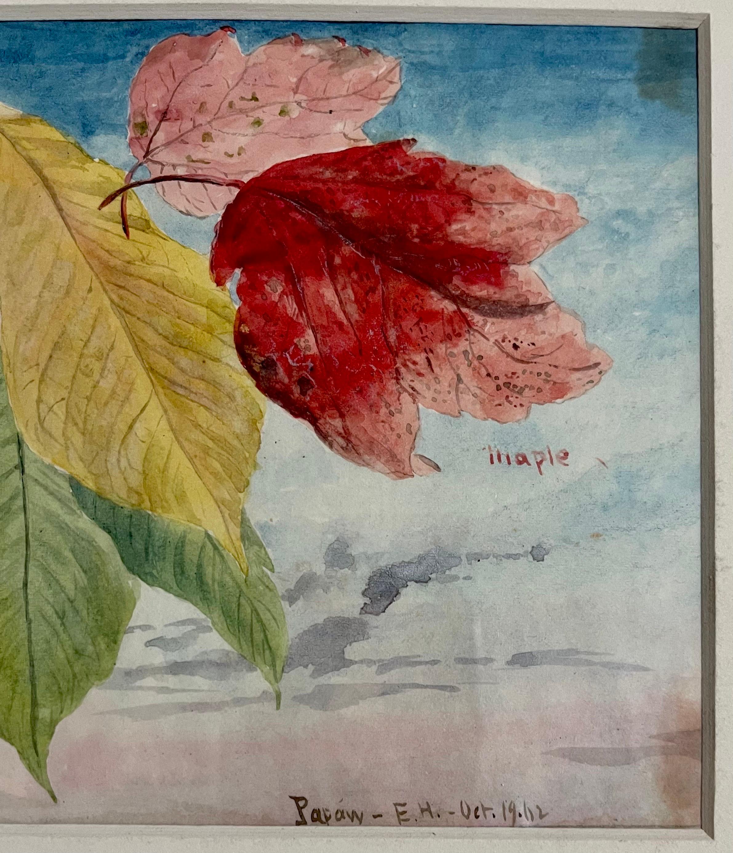 Maple Leaves Watercolor Painting 19th C. American Artist Charles DeWolf Brownell For Sale 6