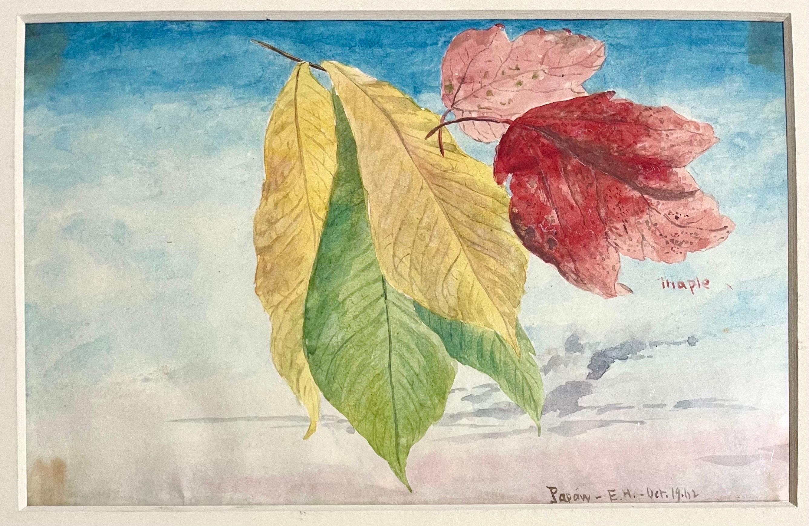 Maple Leaves Watercolor Painting 19th C. American Artist Charles DeWolf Brownell For Sale 8