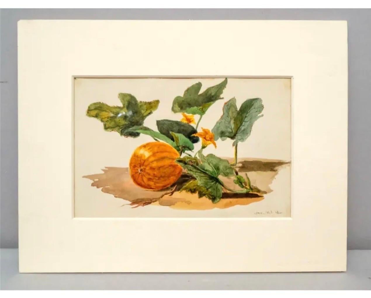 Pumpkin Vine Watercolor Painting 19th C. American Artist Charles DeWolf Brownell - Beige Still-Life by Charles De Wolf Brownell