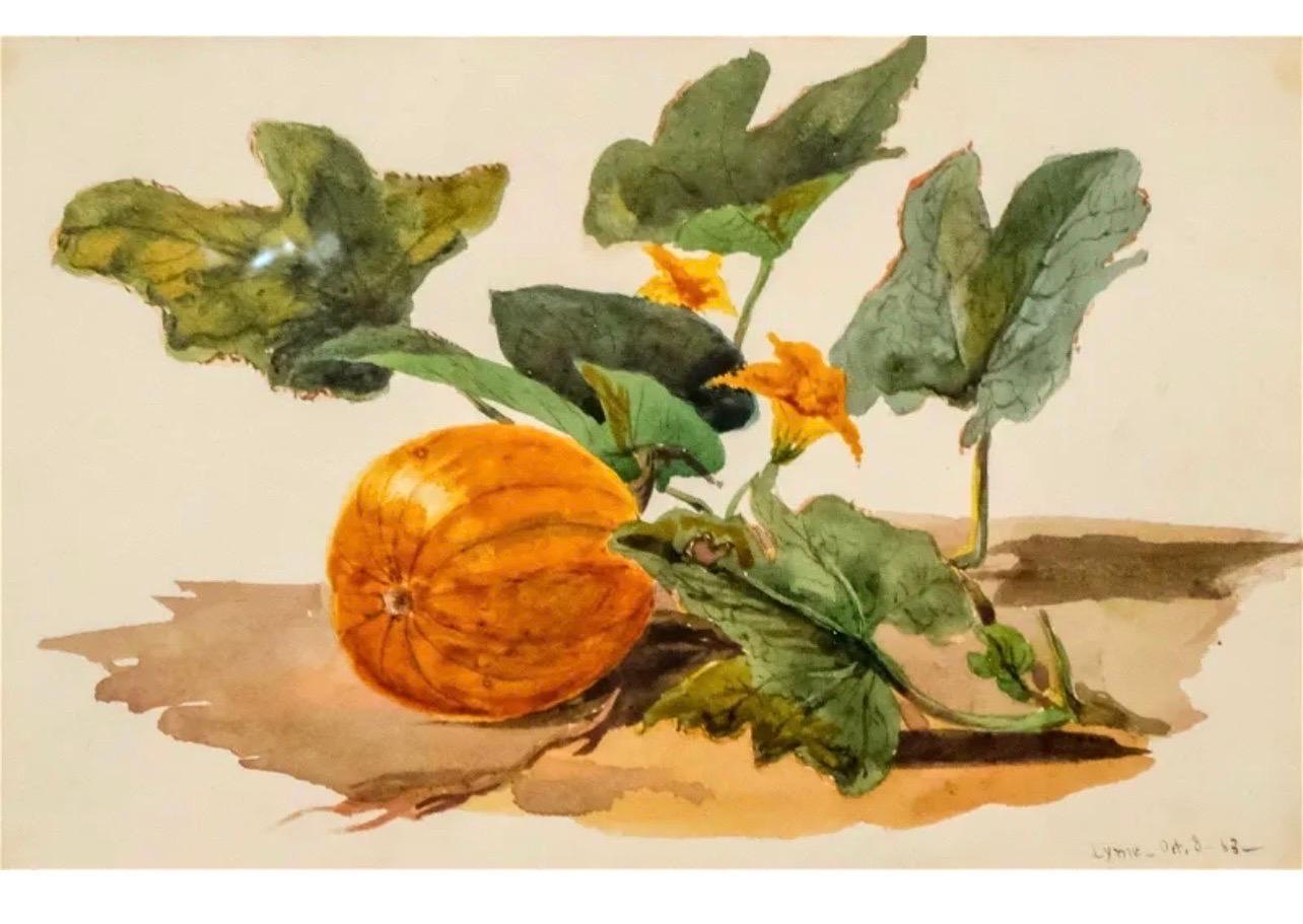 Charles De Wolf Brownell Still-Life - Pumpkin Vine Watercolor Painting 19th C. American Artist Charles DeWolf Brownell