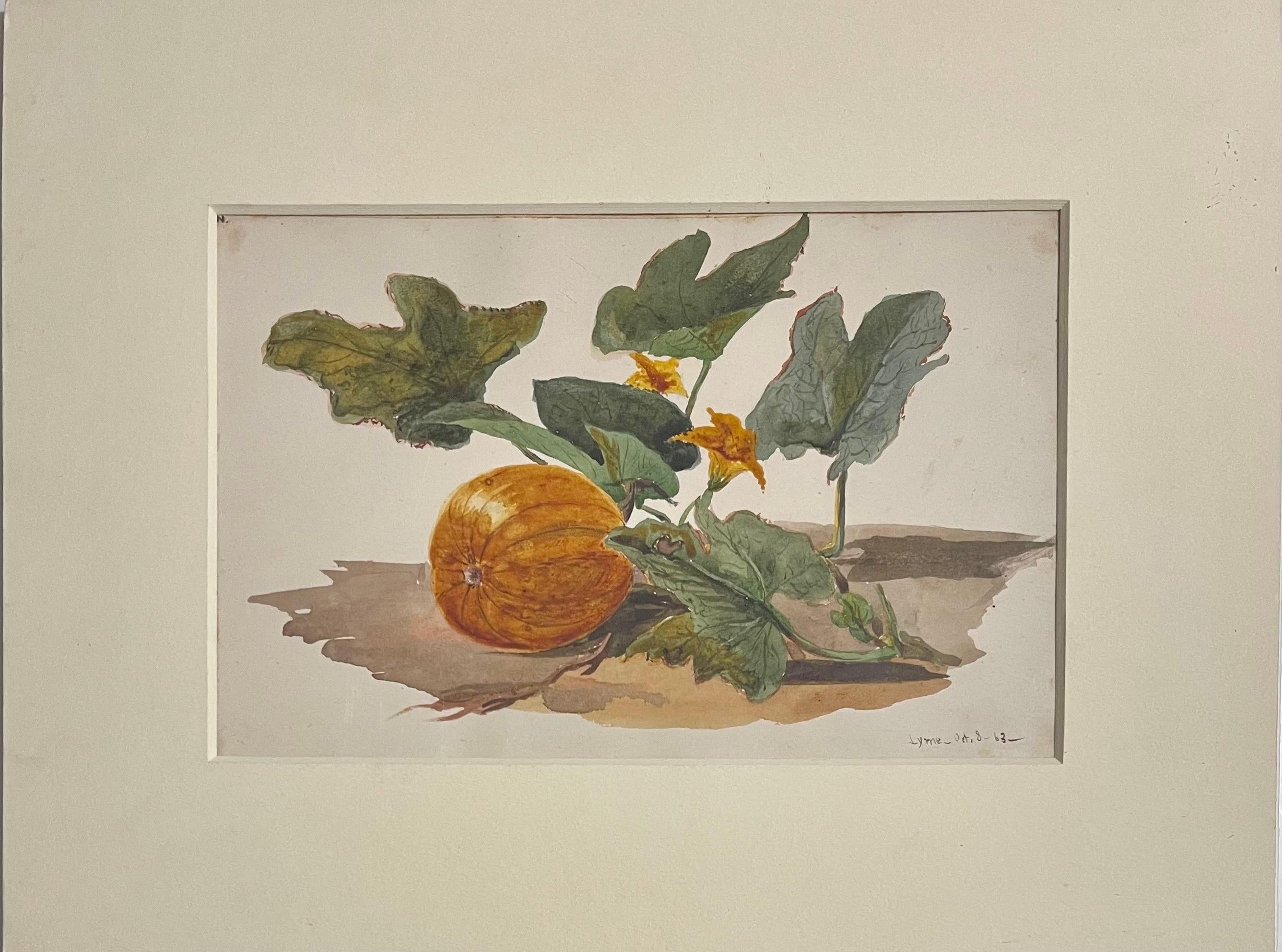 Charles De Wolf Brownell (American, 1822 - 1909) 
Watercolor on paper  depicting a pumpkin on a flowering vine
Hand dated and inscribed 