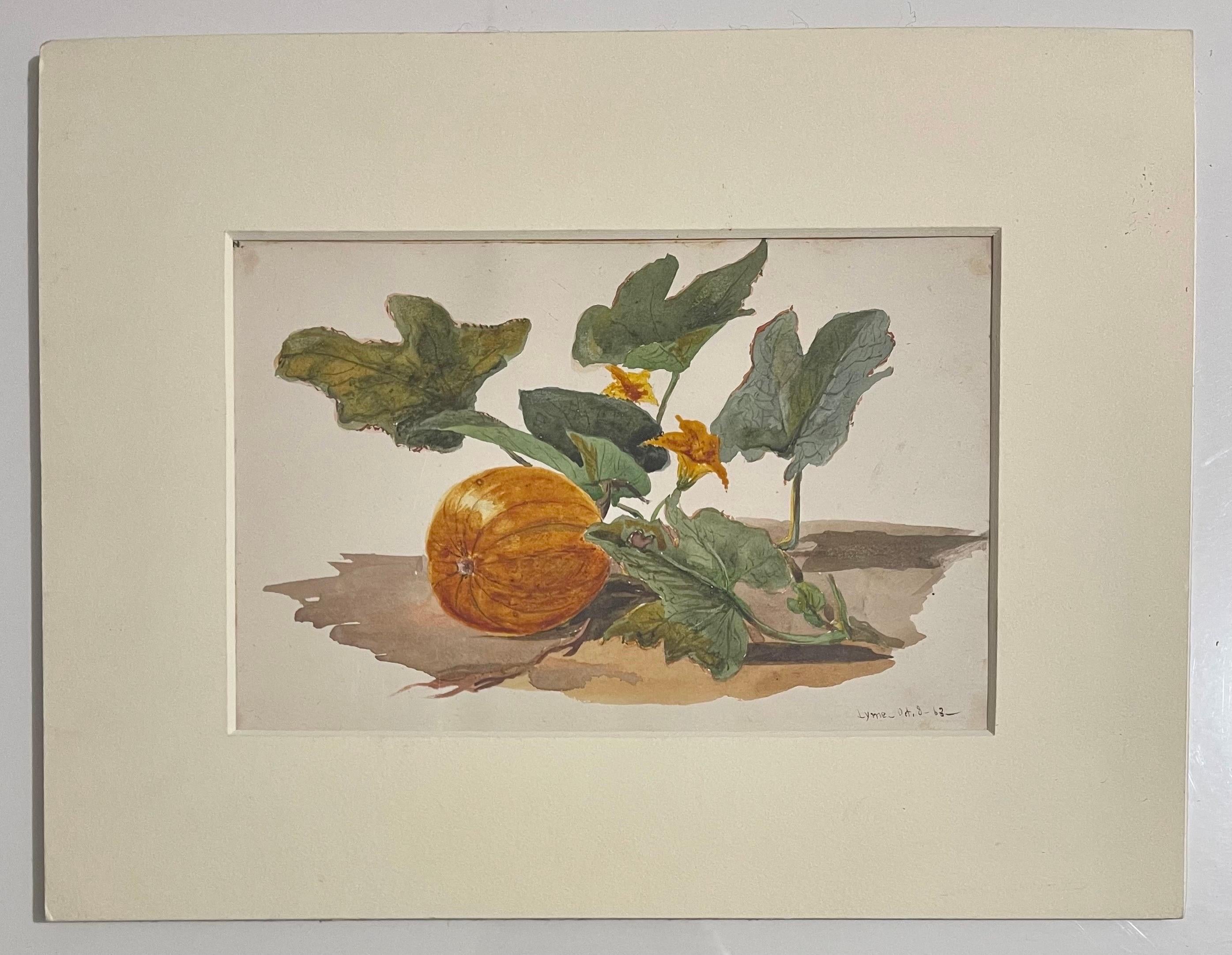 Pumpkin Vine Watercolor Painting 19th C. American Artist Charles DeWolf Brownell For Sale 1