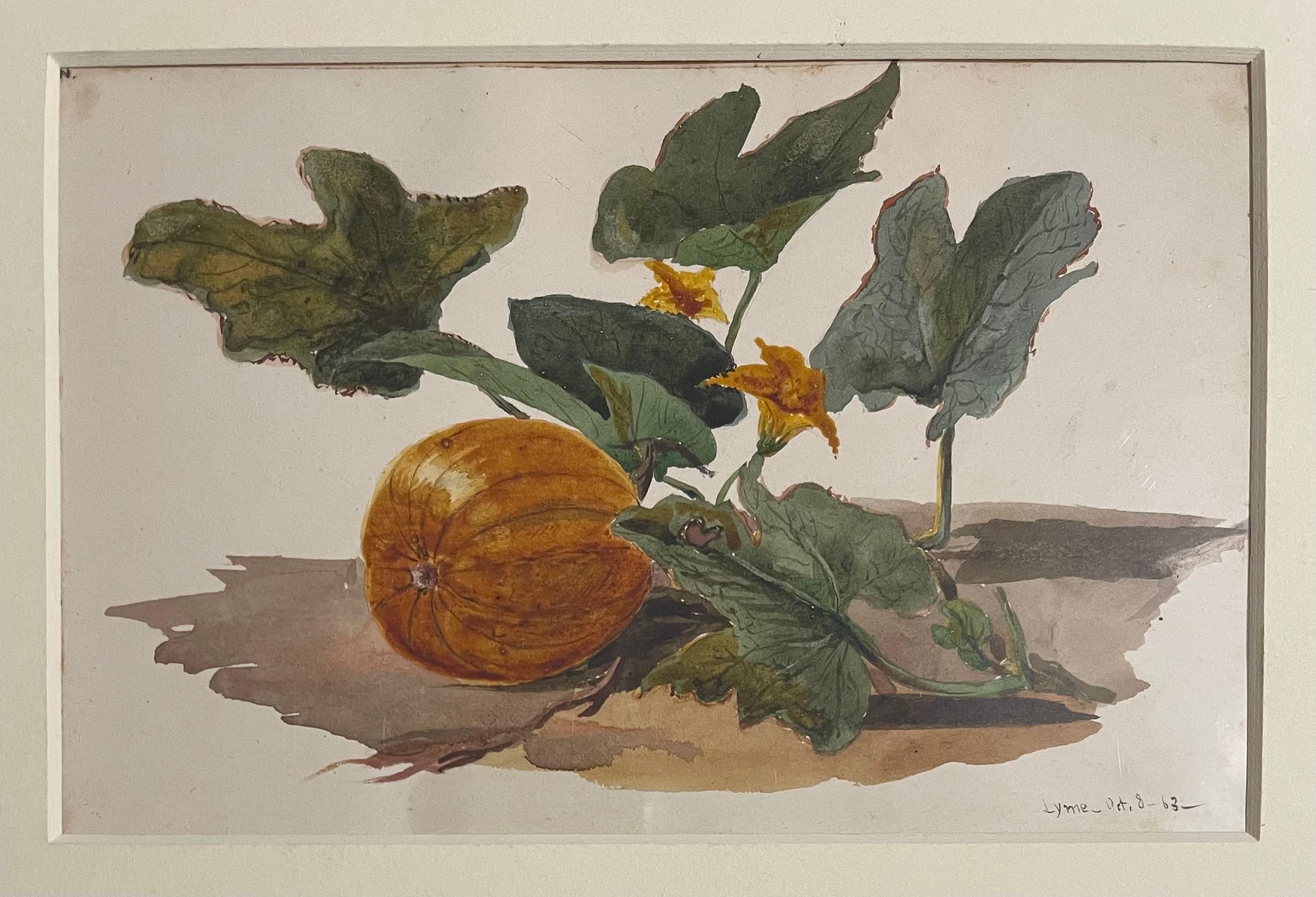 Pumpkin Vine Watercolor Painting 19th C. American Artist Charles DeWolf Brownell For Sale 2